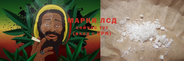 шишки Белокуриха