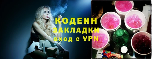 шишки Белокуриха