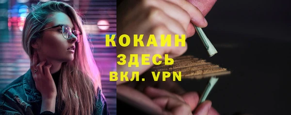 шишки Белокуриха