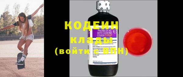 шишки Белокуриха