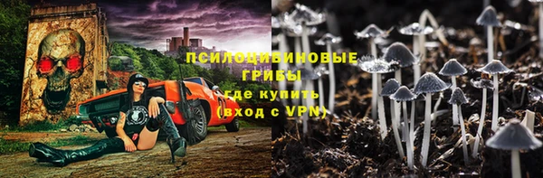 СК Беломорск