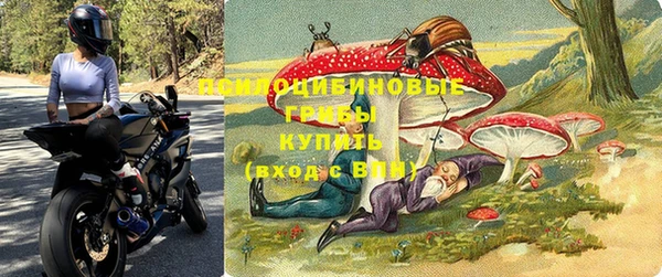 шишки Белокуриха