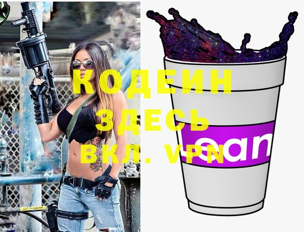 шишки Белокуриха