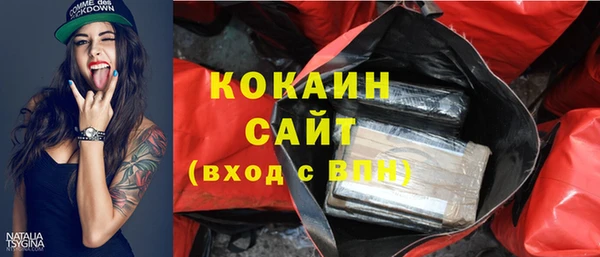 шишки Белокуриха