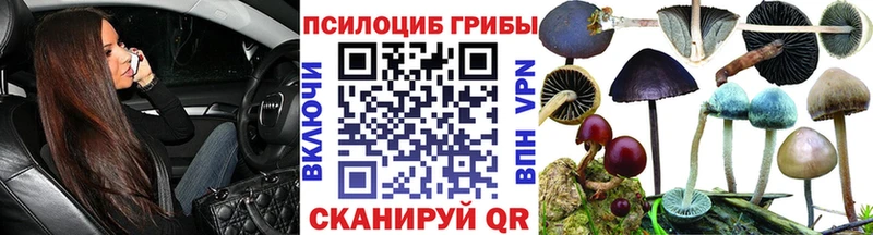 Галлюциногенные грибы мицелий  где найти   Каневская 